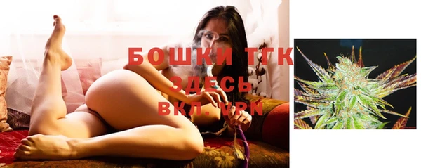 крисы Баксан