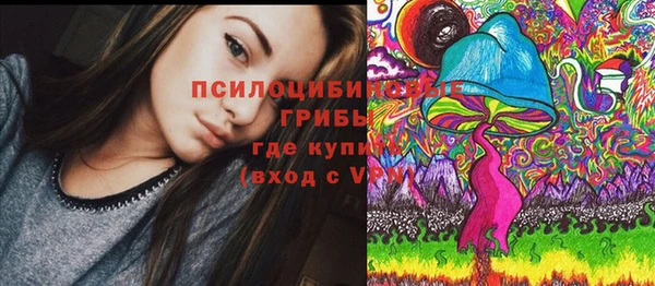 крисы Баксан