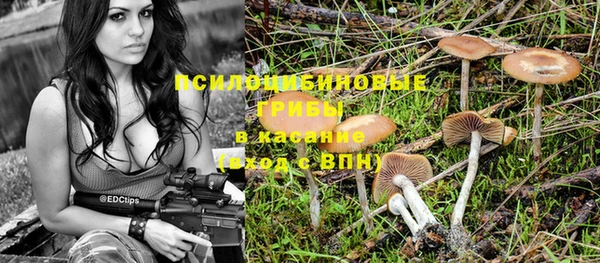 бошки Балахна