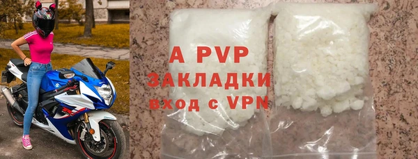 крисы Баксан