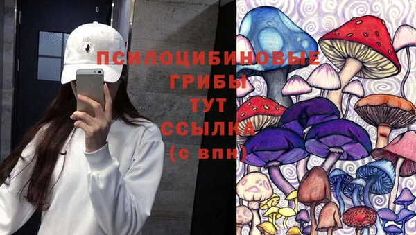 бошки Балахна