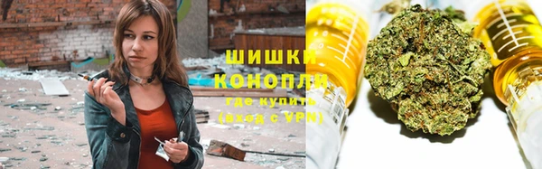 крисы Баксан