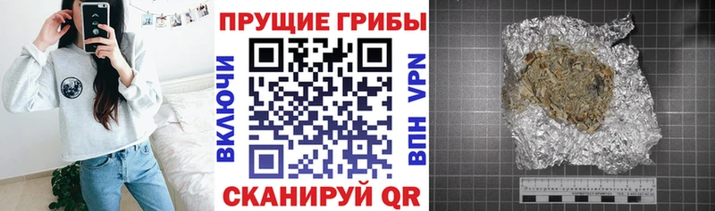 Галлюциногенные грибы Cubensis  Берёзовский 